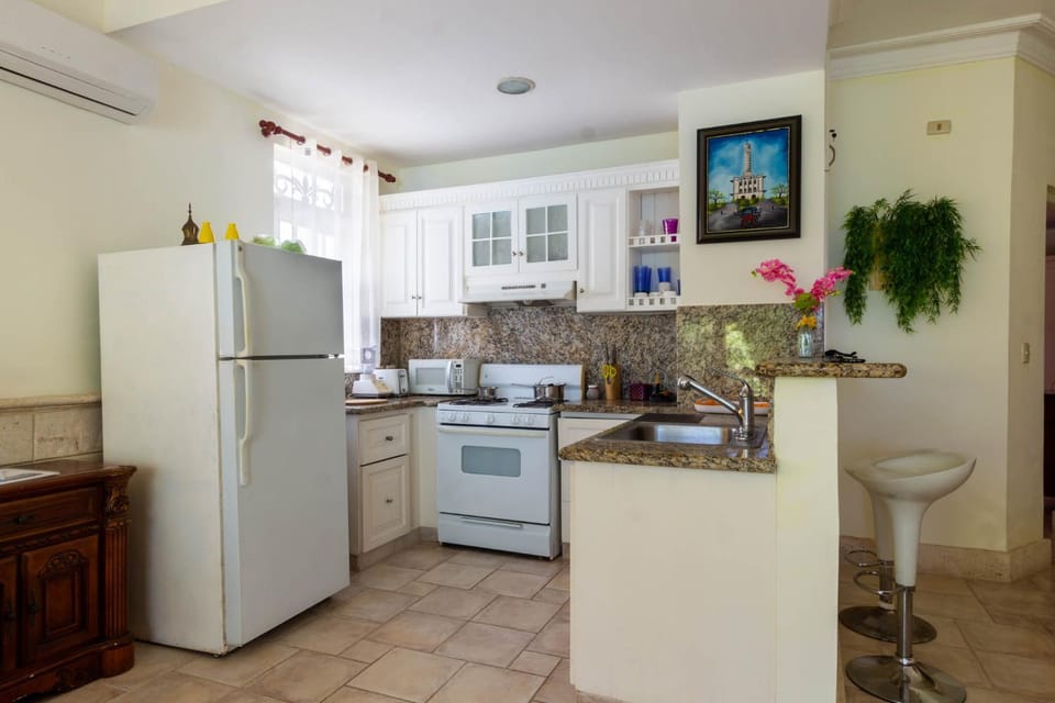 Kitchen or kitchenette, dishwasher, minibar, pet friendly, stove