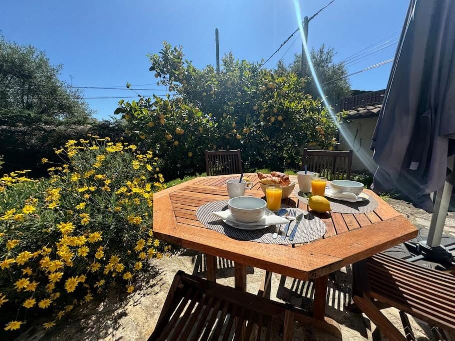 Bas de villa provençale 2 pièces avec Jardin Apartment in Villeneuve-Loubet