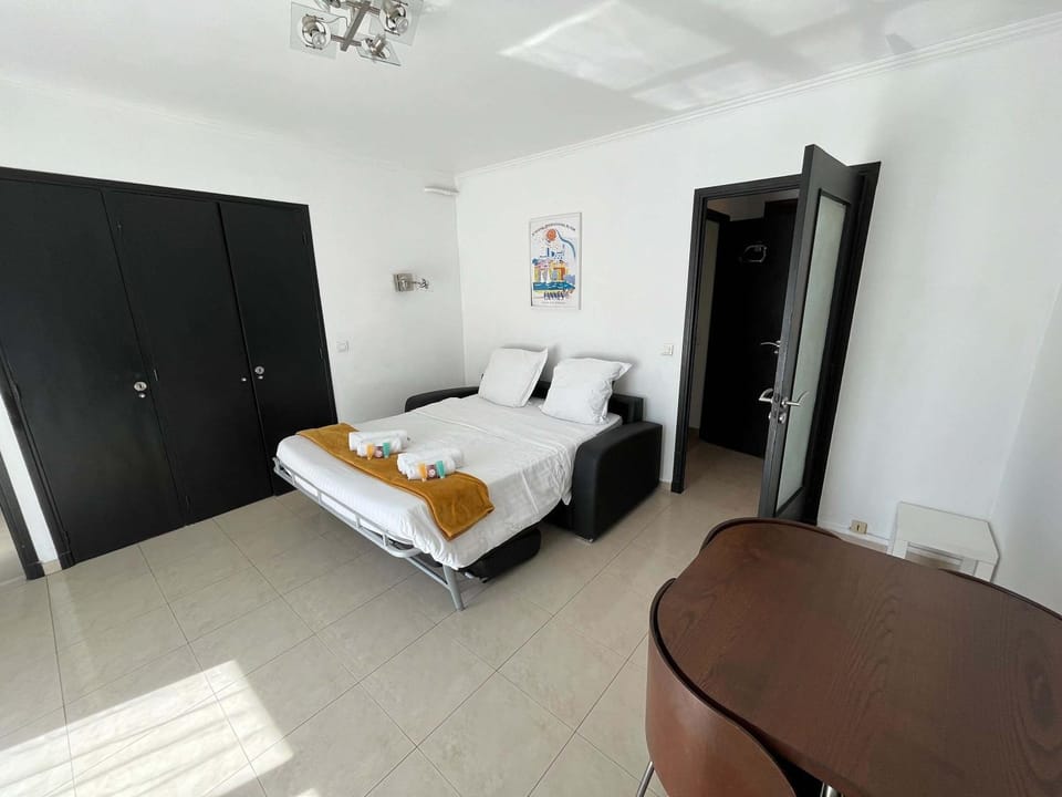 C067-Beau Studio a 100 m des plages et proche Palais Apartment in Cannes