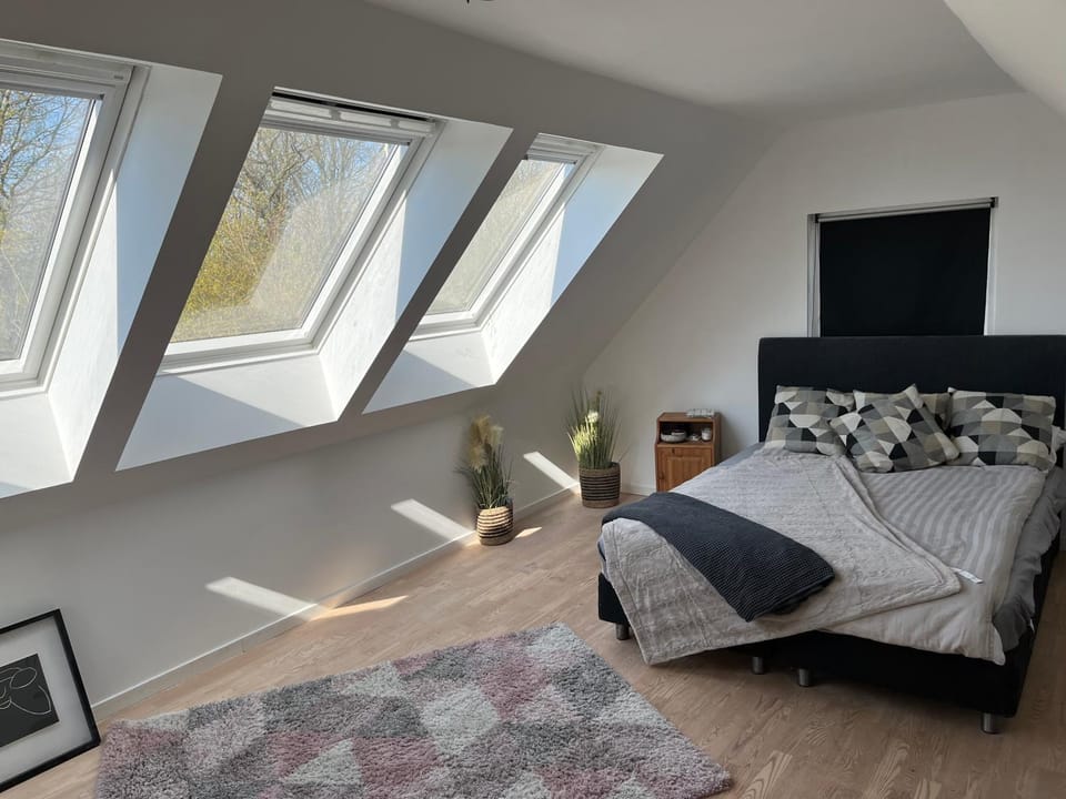 Bed, Photo of the whole room, Bedroom