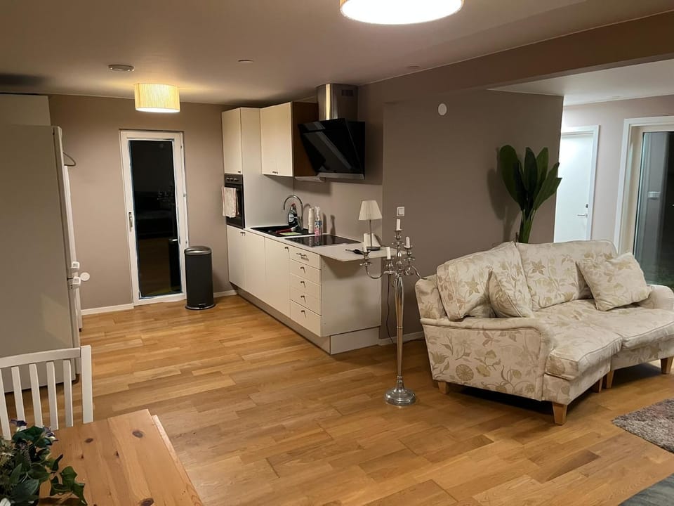 Kitchen or kitchenette, Living room, Seating area, Dining area, stove