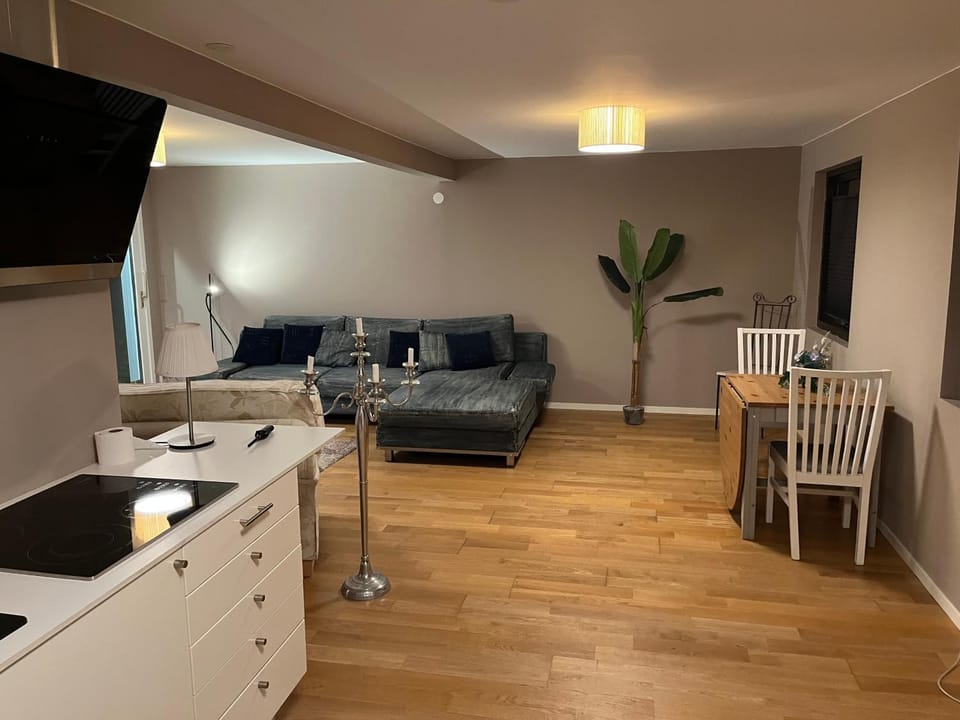 Kitchen or kitchenette, Living room, Seating area, Dining area