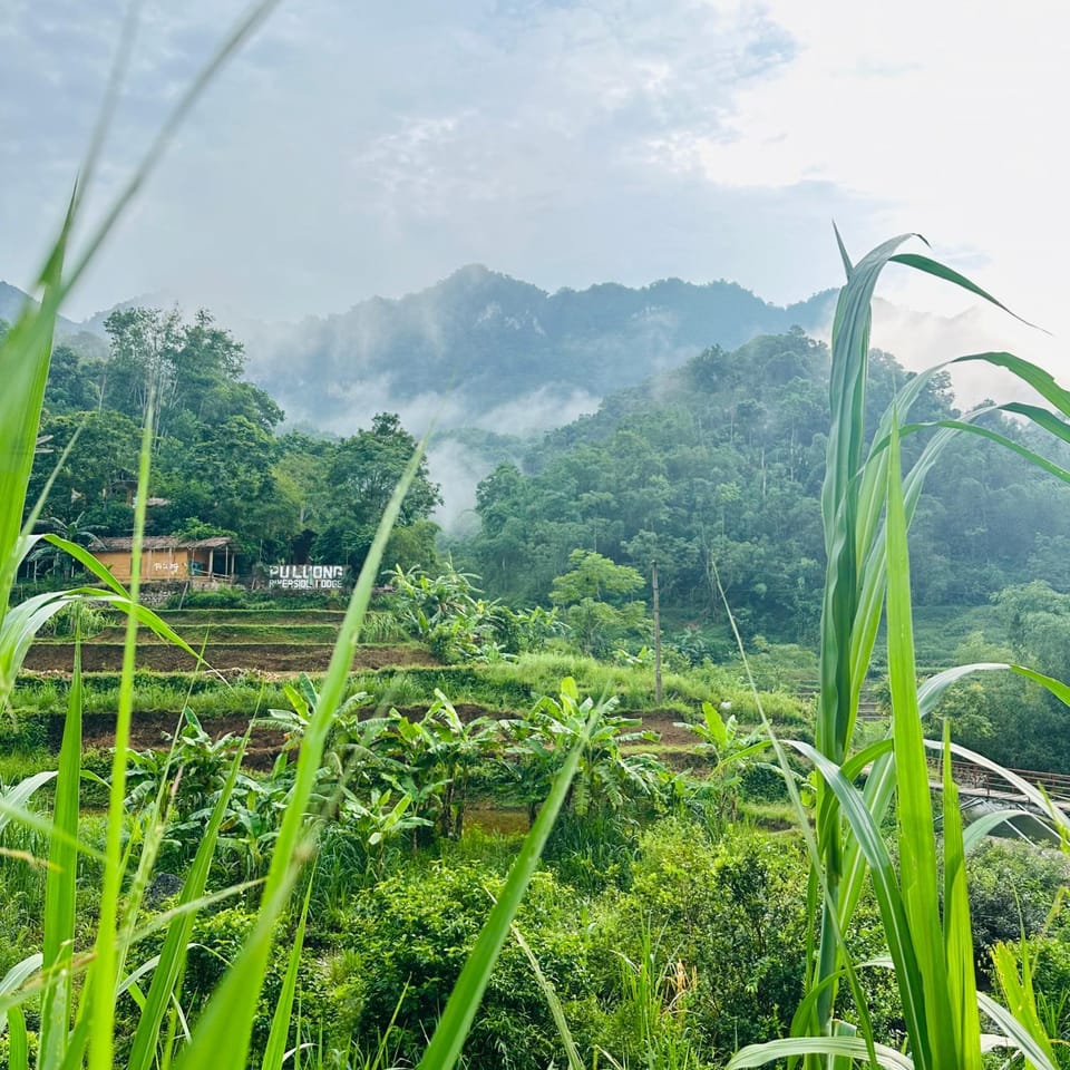 Natural landscape