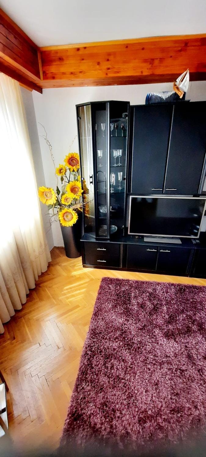 Apartment near the center - Nada Apartment in Primorje-Gorski Kotar County