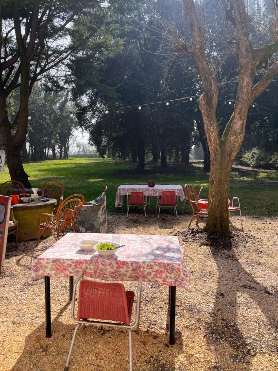Spring, Day, Natural landscape, Garden, Dining area, Garden view