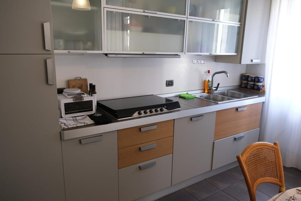 Kitchen or kitchenette, dishwasher, minibar, stove