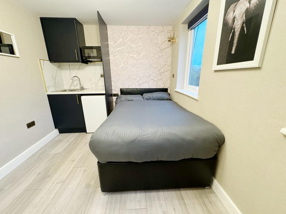 Stylish Studio minutes away from Wembley Apartment in Wembley