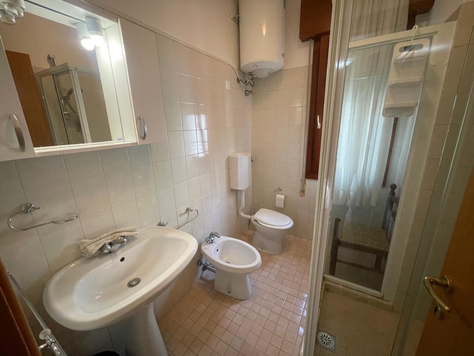 Shower, Toilet, Bathroom, bidet