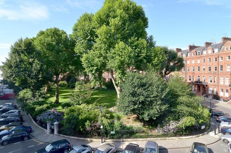 Natural landscape, Garden, Garden view