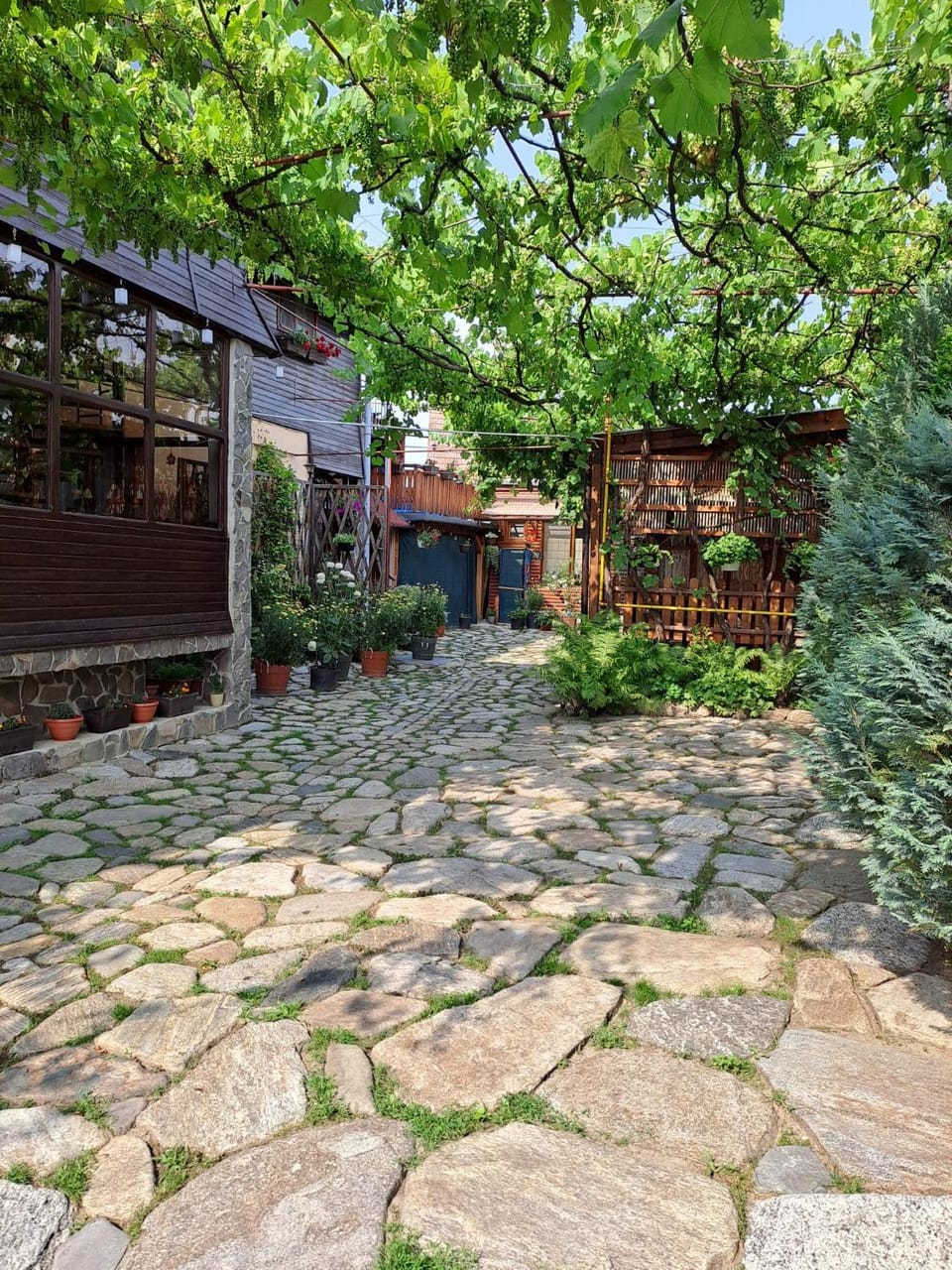 Pensiunea Sandra Bed and Breakfast in Romania