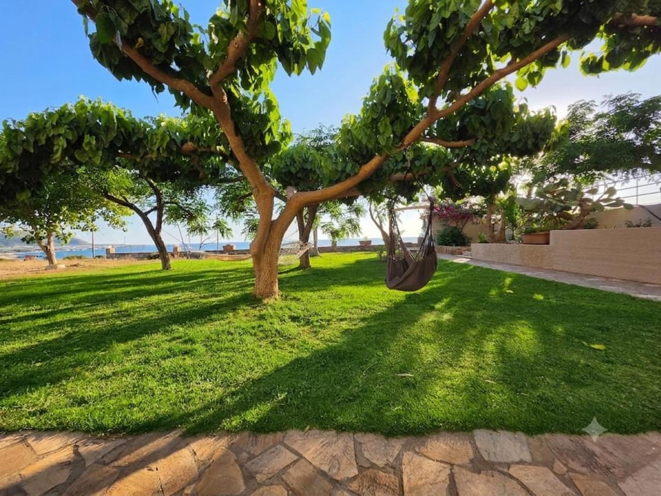 Garden, Sea view
