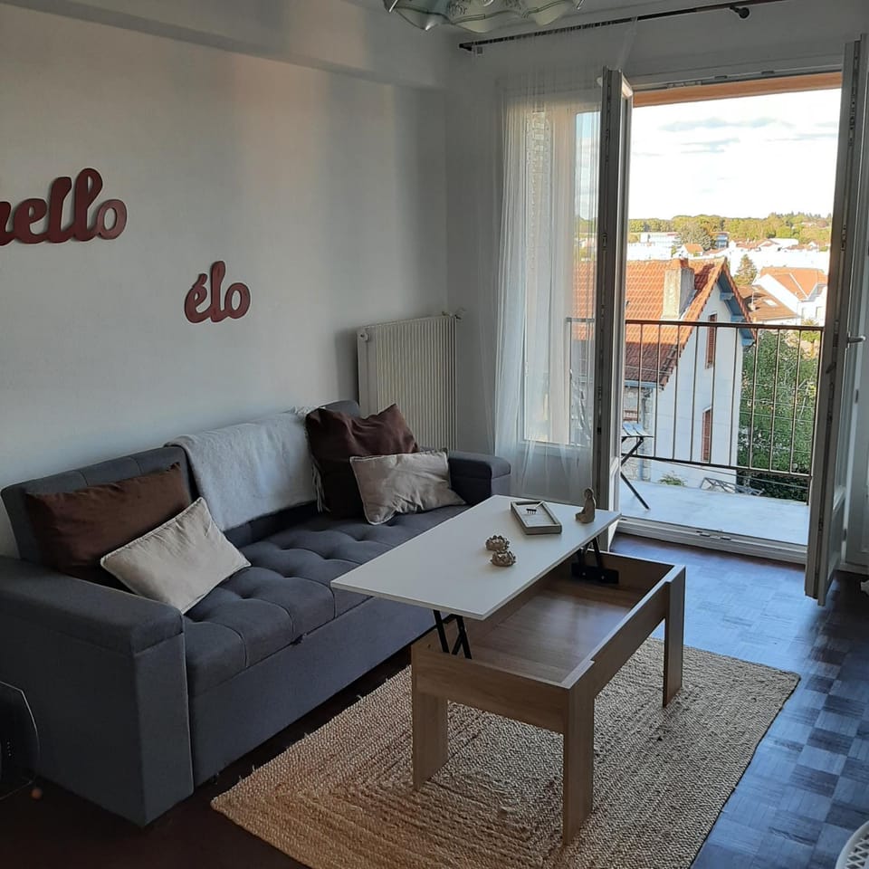 Appartement clair et rénové proche centre Apartment in Limoges