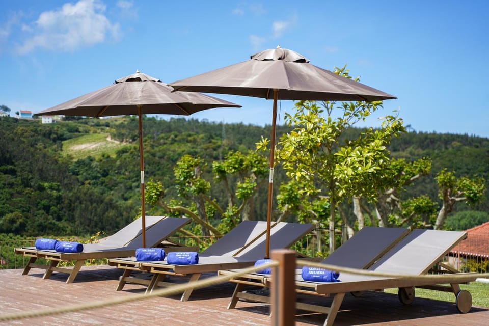 Balcony/Terrace, sunbed