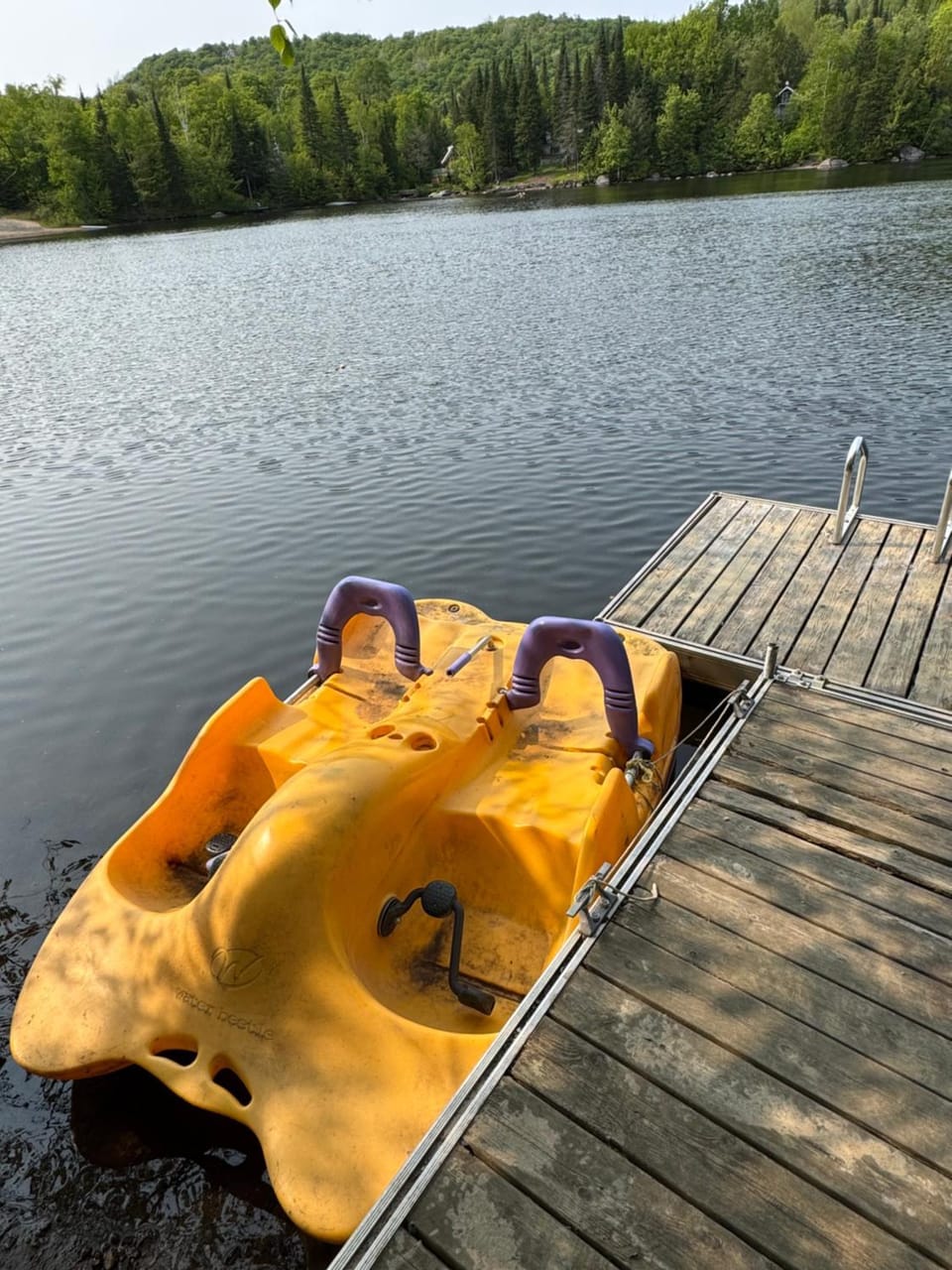 Lake view, Mountain view, River view