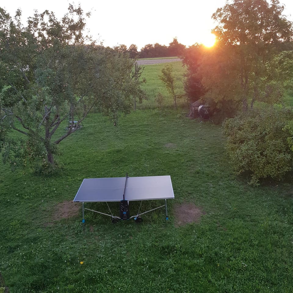 Garden, Table tennis