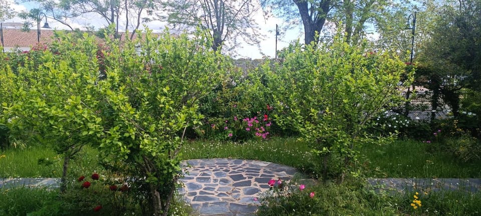 Garden view