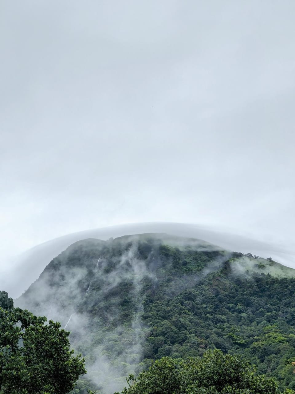 Natural landscape, View (from property/room), Mountain view