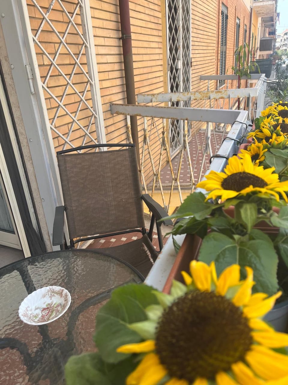 Balcony/Terrace