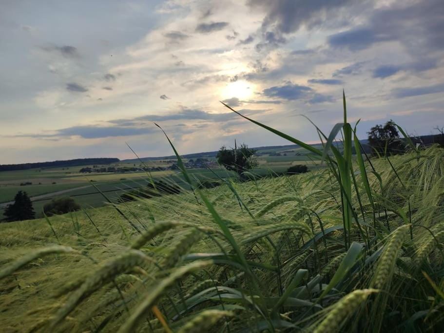 Natural landscape