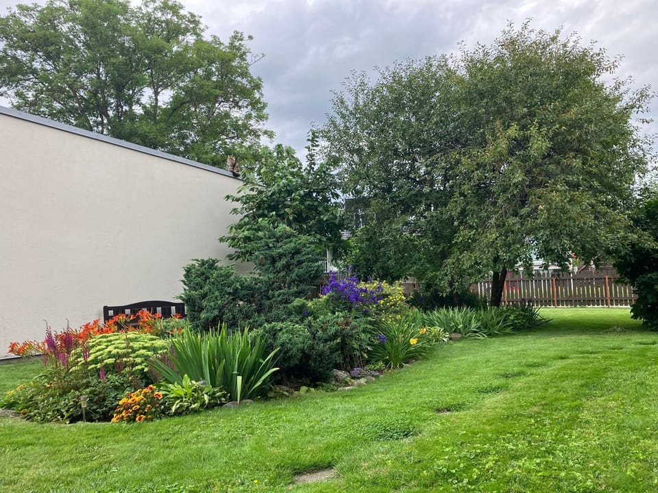 Garden view