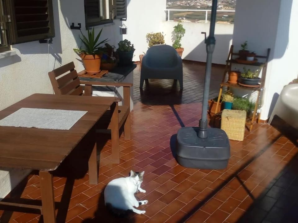 Casa da Torre Rooftop Terrace Apartment in Lisbon District