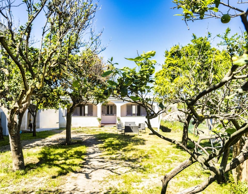 Spring, Natural landscape, Garden view