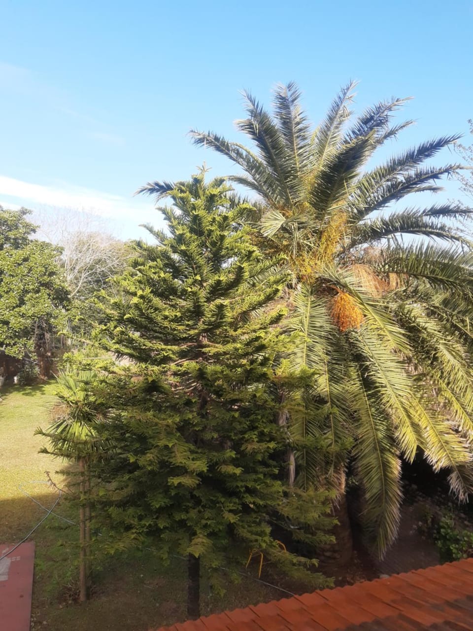 Hospedaje familiar Lilia, Ezeiza airport, Hospital Bicentenario Monte Grande Bed and Breakfast in Uruguay