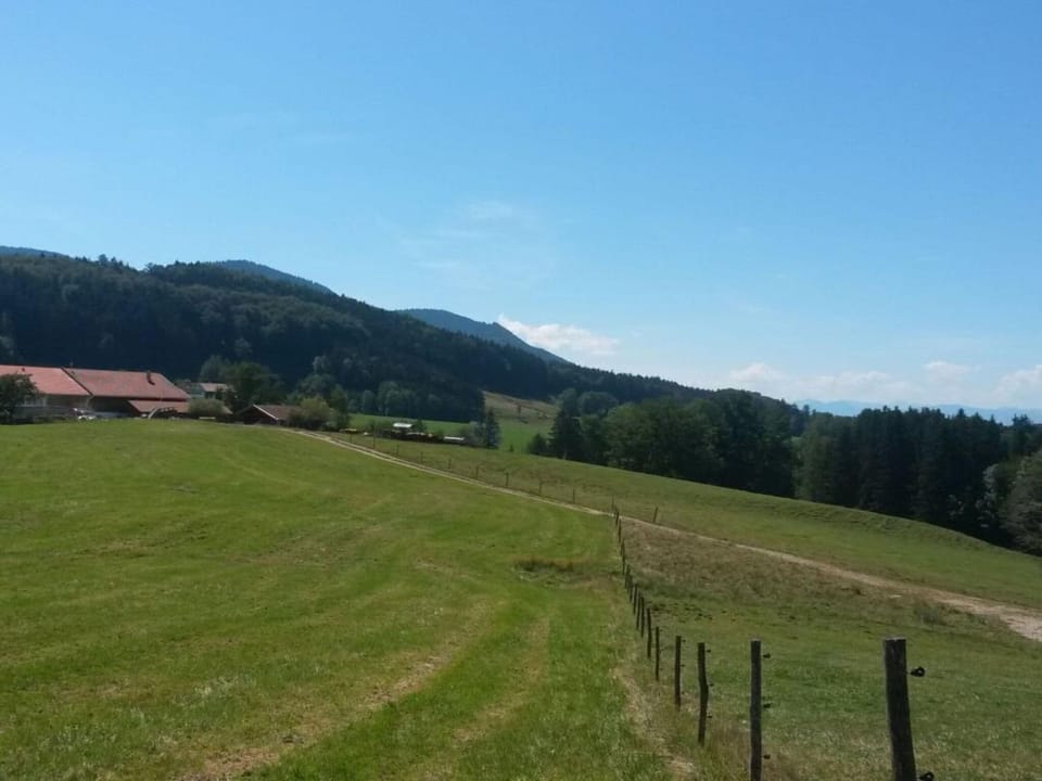 Neighbourhood