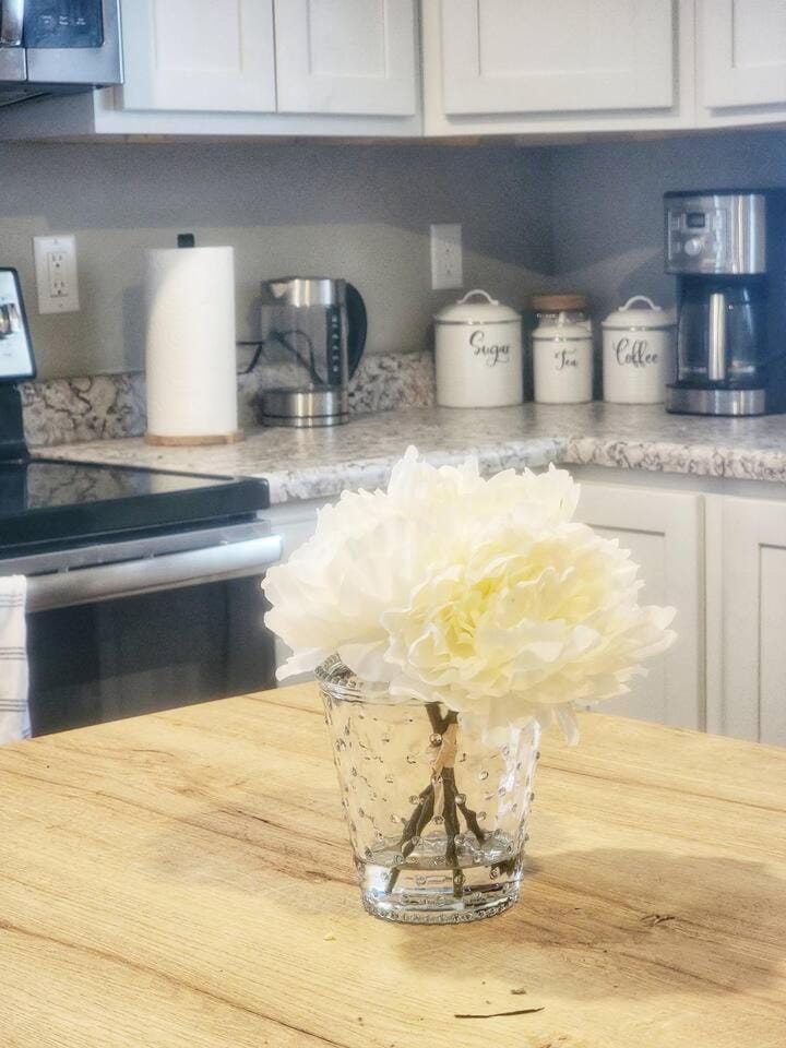 Sweet Cottage near Downtown DSM House in Des Moines