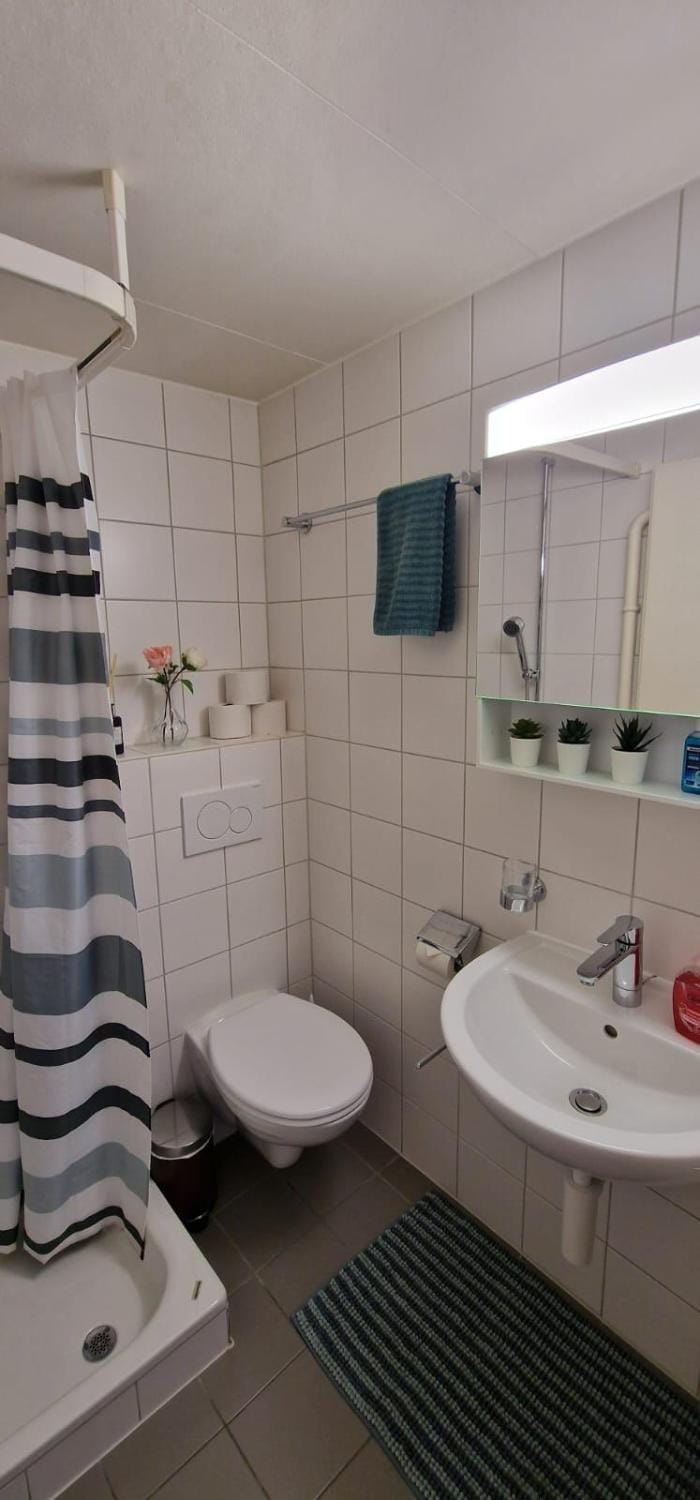 Toilet, Bathroom