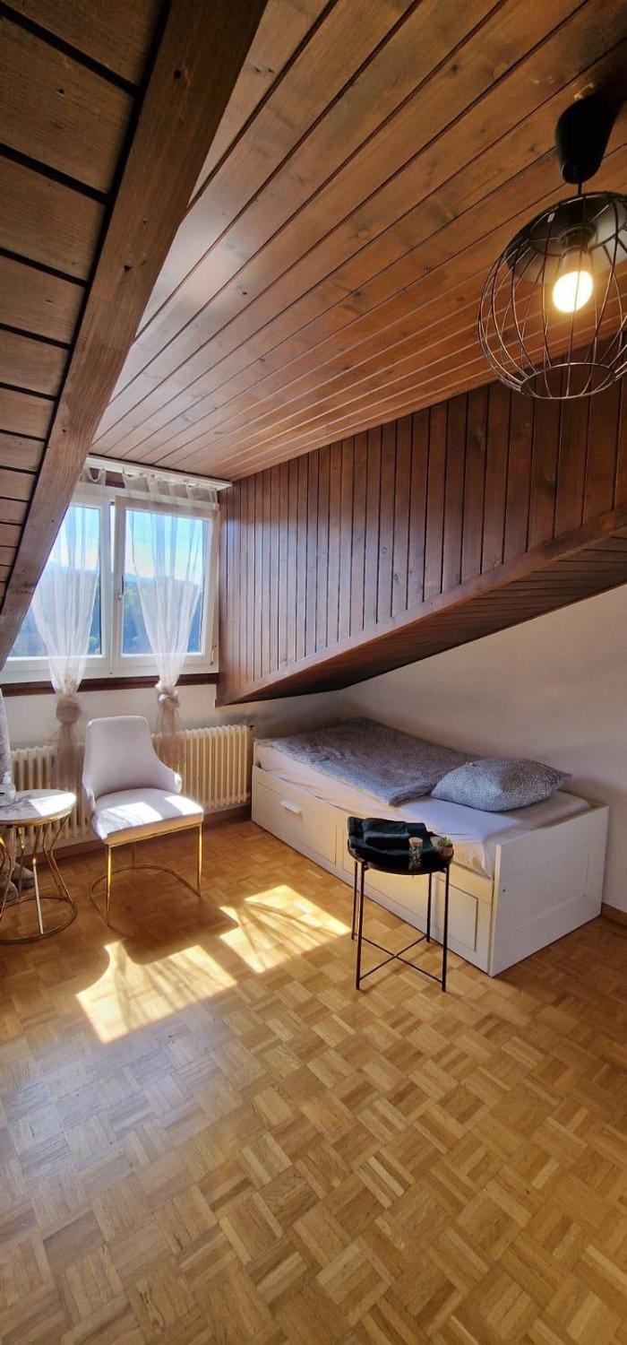 Urban Studio City Apartment in Fribourg