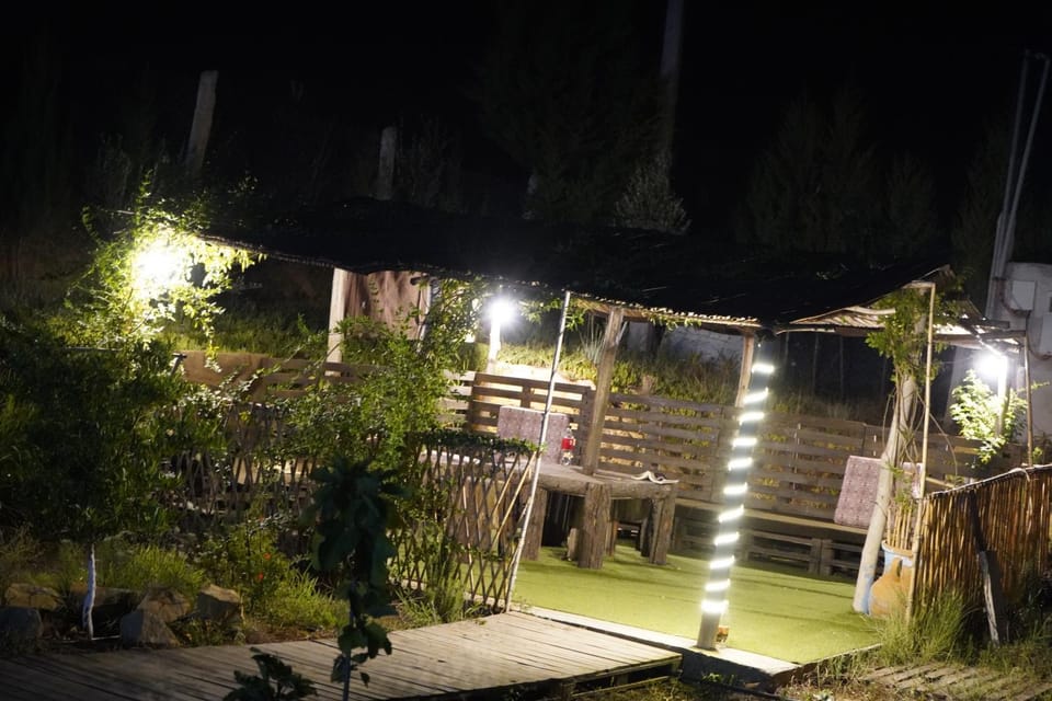 BBQ facilities, Garden