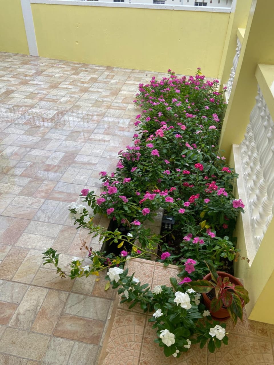Seabliss Villa Villa in Caribbean