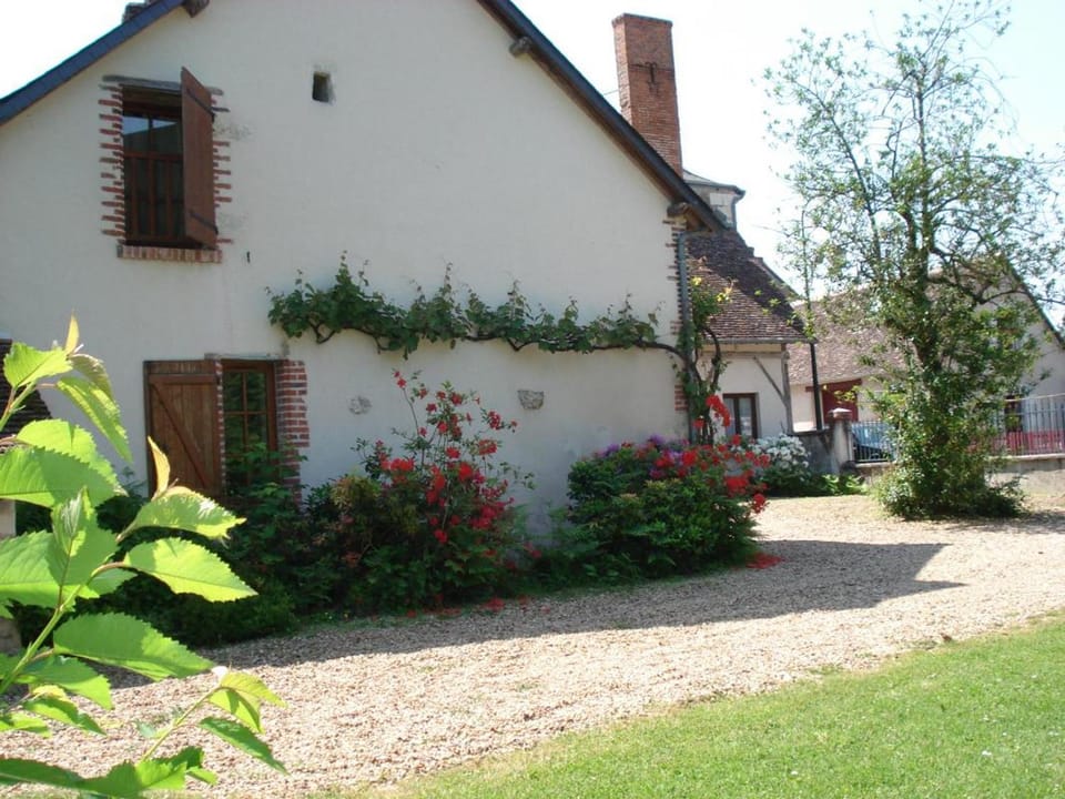 Maison familiale à Cheverny, jardin clos, animaux acceptés, 6 personnes - FR-1-491-338 House in Centre-Val de Loire