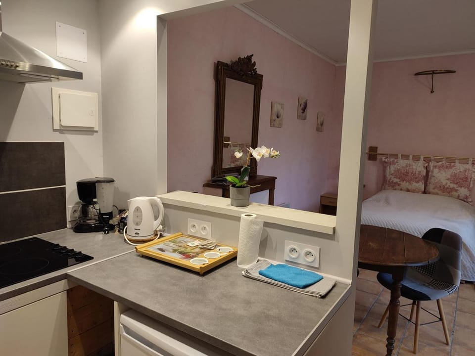 Chaleureux studio avec jardin commun et parking, idéal pour un couple face à l'Abbaye de Pontlevoy - FR-1-491-363 Apartment in Centre-Val de Loire