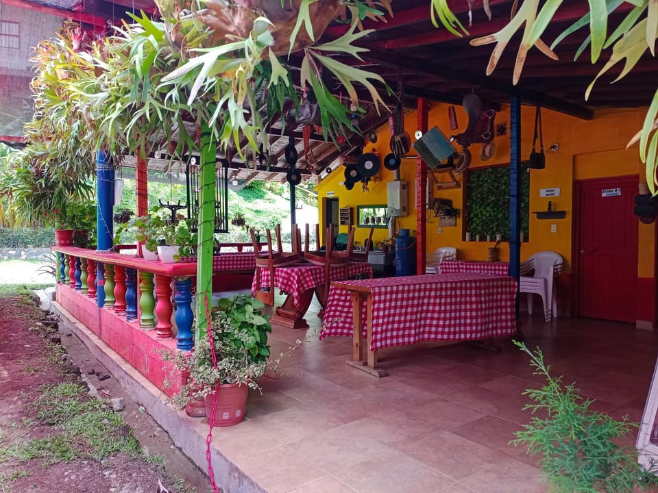 Patio, Restaurant/places to eat, Garden view