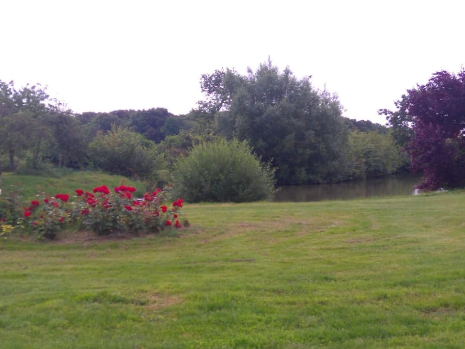 Gîte spacieux avec cheminée et salle de jeux - FR-1-491-442 House in Centre-Val de Loire