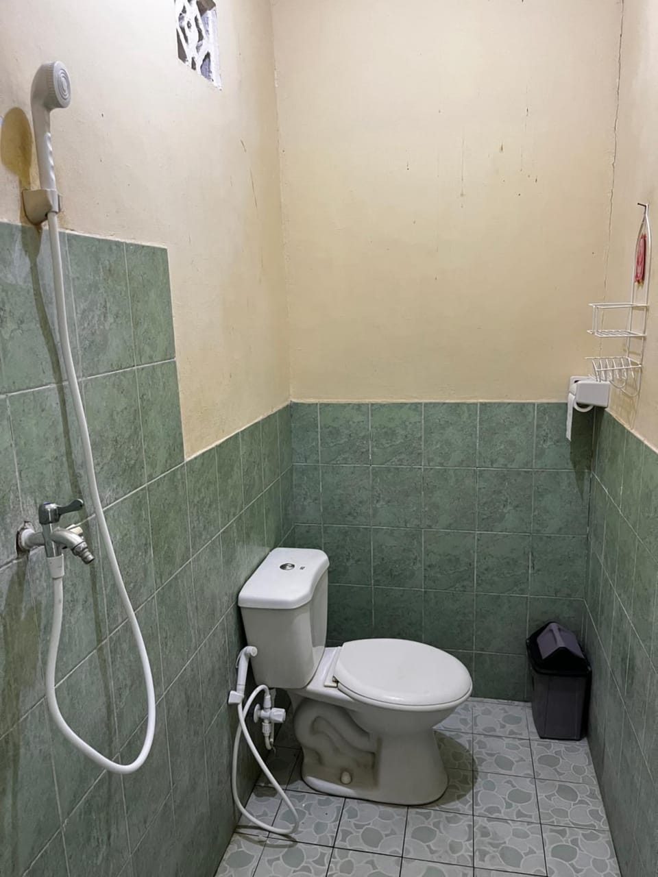Shower, Toilet, Bathroom, bidet