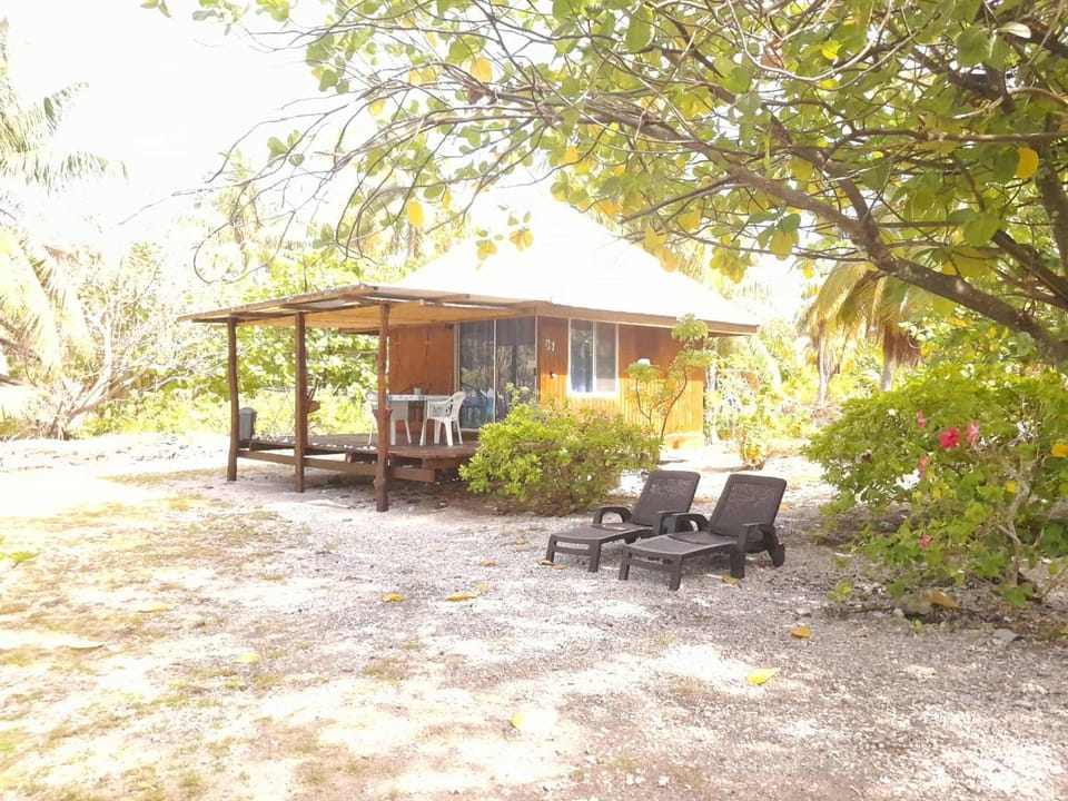 Patio, Natural landscape, Garden