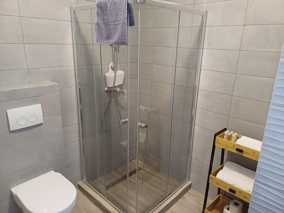 Shower, Toilet, Bathroom, towels