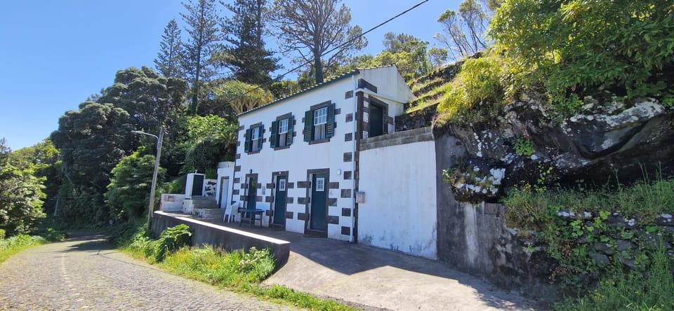 Property building, Day, Garden