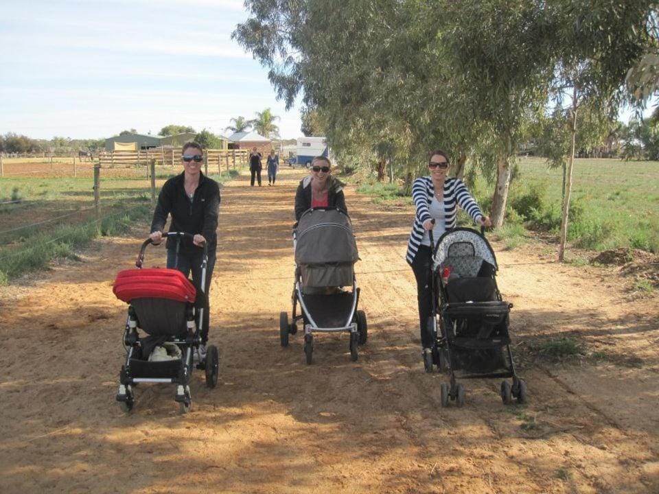 Cabarita Lodge Bed and Breakfast in Mildura