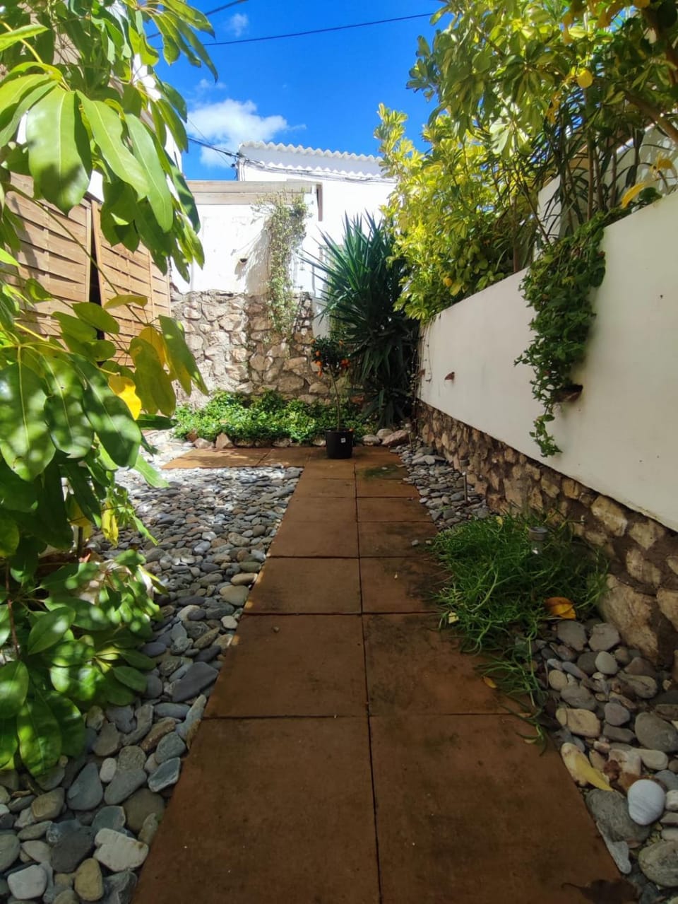 Garden, Garden view