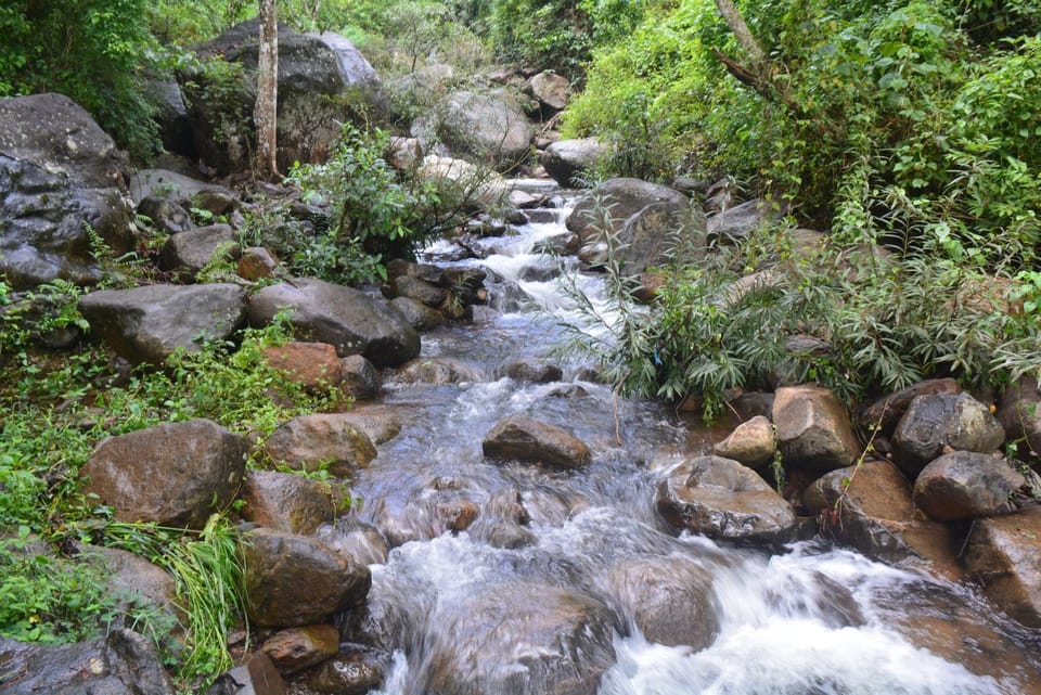 Natural landscape