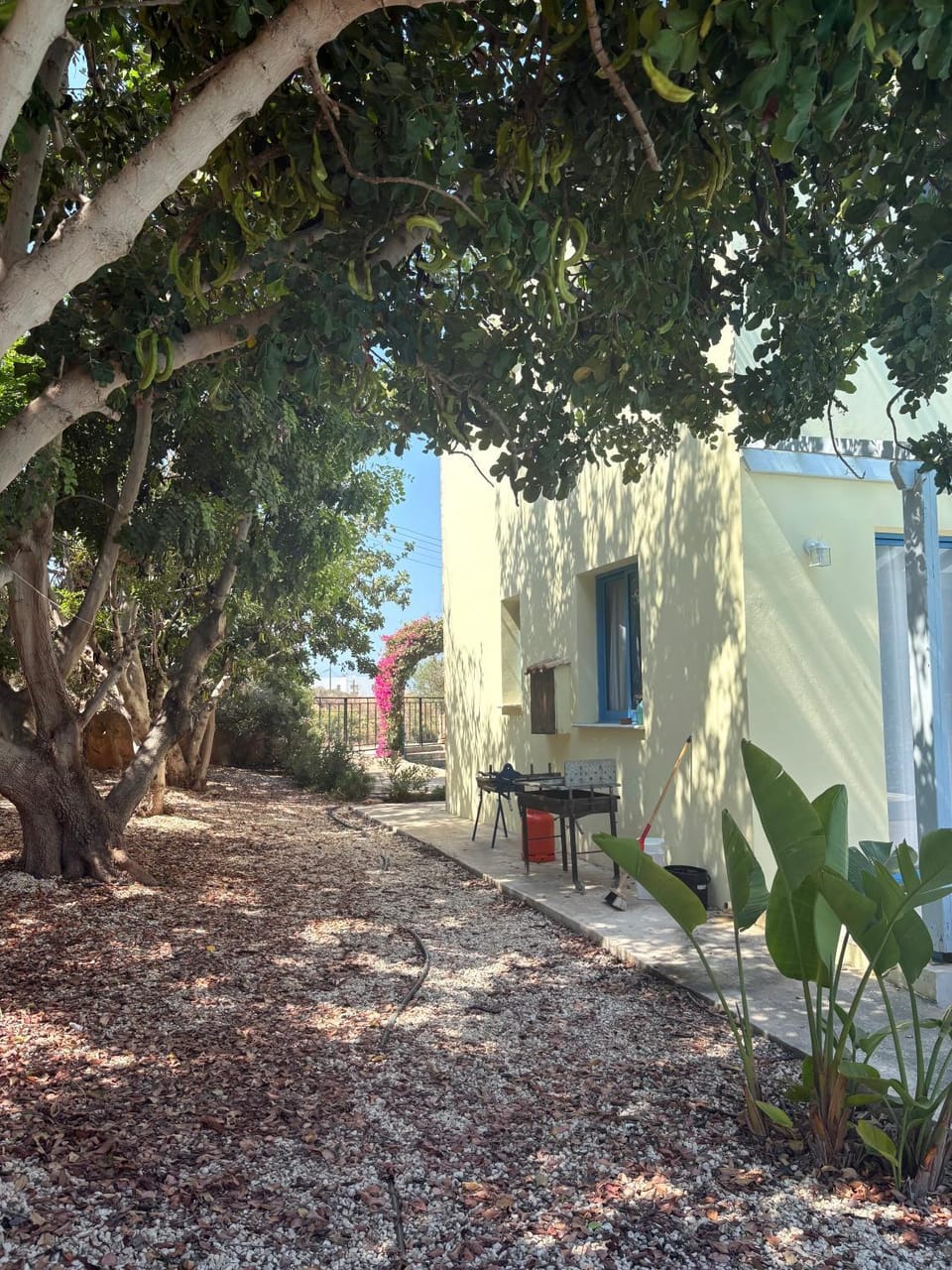 Queen Evridiki House in Peyia