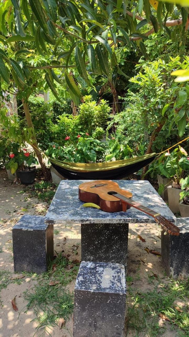 Garden, Garden view