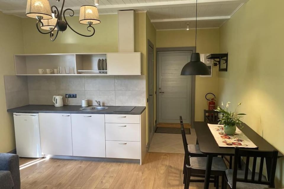 Kitchen or kitchenette, Dining area, stove