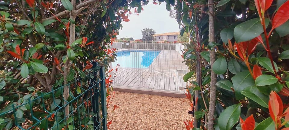 Mini villa Bay, 6 pers, piscine, 400 m plage Apartment in Zonza