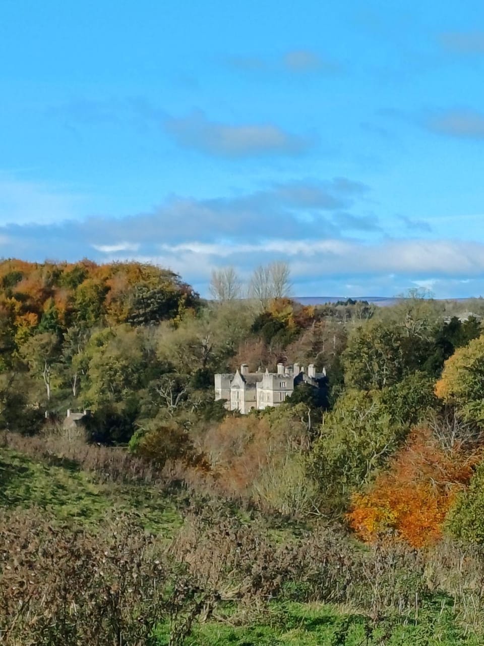 Central Ripon - Sleeps 3 - Garden - Pet Friendly House in Ripon