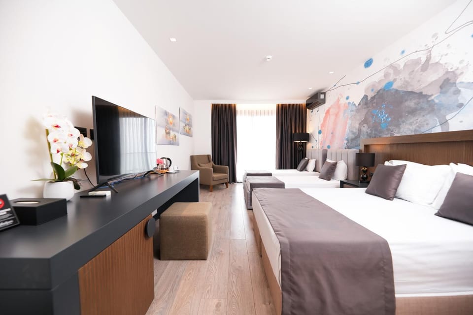 Bed, TV and multimedia, View (from property/room), Photo of the whole room, Decorative detail, Seating area, Bedroom, furniture, heating, internet, air conditioner